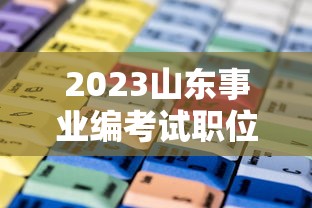 2023山东事业编考试职位表›2023山东事业编制招聘岗位表