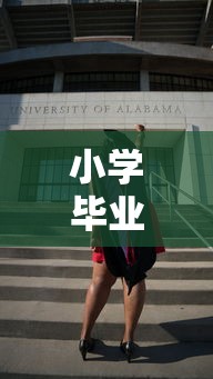 小学毕业可以考成人大专吗—(小学毕业可以参加成人高考吗) 小学毕业可以考成人大专吗—(小学毕业可以参加成人高考吗)
