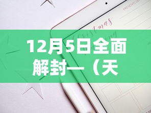 12月5日全面解封—（天津格林国际幼儿园学费）