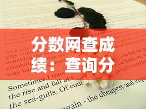 分数网查成绩:查询分数入口网站 分数网查成绩:查询分数入口网站