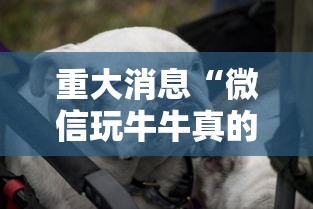 重大消息“微信玩牛牛真的有挂吗”揭秘透视辅助万能挂