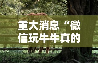 重大消息“微信玩牛牛真的有挂吗”揭秘透视辅助万能挂