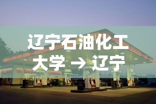辽宁石油化工大学 → 辽宁石油化工大学是几本