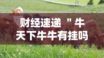 财经速递 ＂牛天下牛牛有挂吗	”附开挂脚本