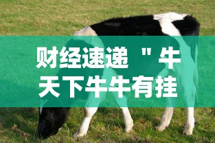 财经速递 ＂牛天下牛牛有挂吗”附开挂脚本