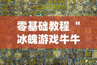 零基础教程 ＂冰魄游戏牛牛有挂吗”详细分享装挂