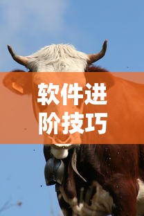 软件进阶技巧 ＂微信牛牛群有挂吗”-玩家曝光开挂流程