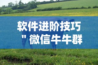 软件进阶技巧 ＂微信牛牛群有挂吗”-玩家曝光开挂流程