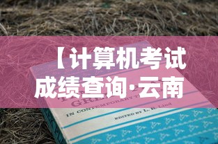 【计算机考试成绩查询·云南计算机考试成绩查询】 【计算机考试成绩查询·云南计算机考试成绩查询】