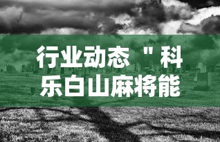 行业动态 ＂科乐白山麻将能用挂吗”详细外挂透视辅助软件教程