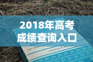 2018年高考成绩查询入口官网 → 2018年高考成绩查询入口官网四川