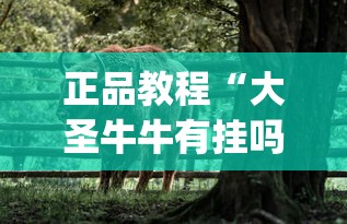 良心软件推荐 ＂德扑之星开挂视频”开挂辅助脚本+详细开挂安装教程
