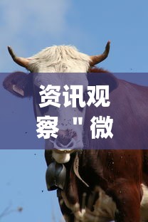 资讯观察 ＂微信牛牛群有挂吗”(透视挂)辅助透视教程
