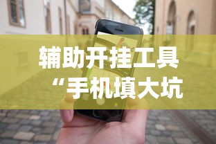 辅助开挂工具“手机填大坑怎么能赢”(原来确实是有插件)
