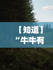 【知道】“牛牛有挂吗”(详细透视教程)-