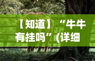 【知道】“牛牛有挂吗	”(详细透视教程)-