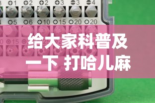 给大家科普及一下 打哈儿麻将外卦神器”(透视曝光猫腻)
