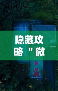 隐藏攻略 ＂微乐亲友房怎么开挂免费使用!详细开挂教程
