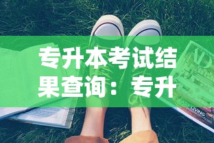 专升本考试结果查询：专升本考试录取查询平台