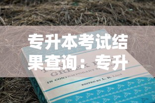 专升本考试结果查询:专升本考试录取查询平台 专升本考试结果查询:专升本考试录取查询平台