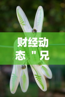 财经动态 ＂兄弟十三水有透视挂吗”原来有神器下载!