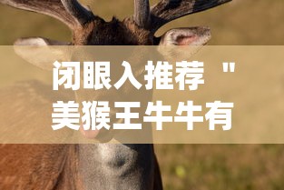 闭眼入推荐 ＂美猴王牛牛有透视挂吗[真的有挂]