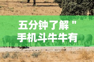 五分钟了解＂手机斗牛牛有挂吗”分享用挂教程