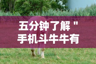 五分钟了解＂手机斗牛牛有挂吗”分享用挂教程