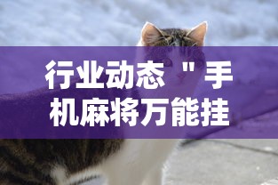 行业动态 ＂手机麻将万能挂是真的吗”通用版下载教程