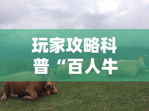 玩家攻略科普“百人牛牛有挂吗”确实可以使用辅助