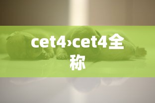 cet4›cet4全称