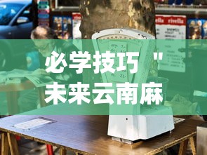 必学技巧 ＂未来云南麻将开挂{透视辅助}全揭秘