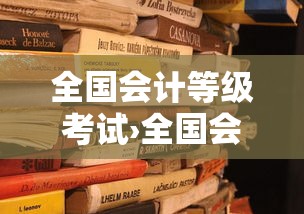 全国会计等级考试›全国会计专业技术高级资格考试