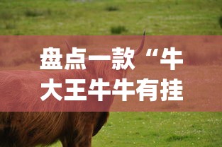 盘点一款“牛大王牛牛有挂吗”(确实有挂)