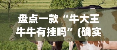 盘点一款“牛大王牛牛有挂吗”(确实有挂)