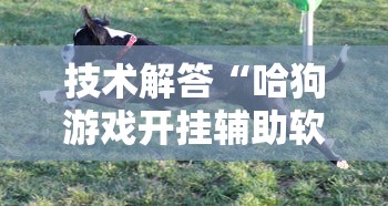 技术解答“哈狗游戏开挂辅助软件”附开挂脚本详细步骤