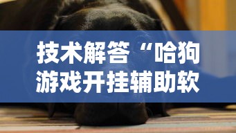 技术解答“哈狗游戏开挂辅助软件	”附开挂脚本详细步骤