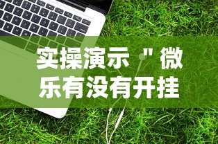 实操演示 ＂微乐有没有开挂辅助器”辅助工具插件,揭秘技巧开挂