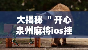 大揭秘 ＂开心泉州麻将ios挂”揭秘透视辅助万能挂