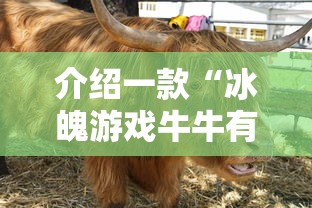 介绍一款“冰魄游戏牛牛有挂吗”通用版下载教程!