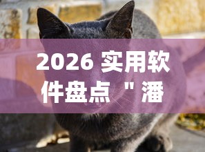2026 实用软件盘点 ＂潘潘讲故事怎么开挂”(曝光透视必备猫腻)