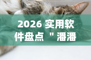 2026 实用软件盘点 ＂潘潘讲故事怎么开挂”(曝光透视必备猫腻)