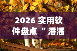 2026 实用软件盘点 ＂潘潘讲故事怎么开挂”(曝光透视必备猫腻)