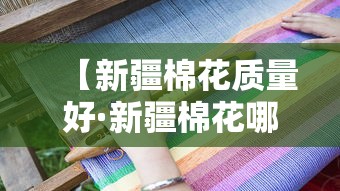 【新疆棉花质量好·新疆棉花哪种好】