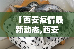 【西安疫情最新动态,西安疫情最新动态消息】