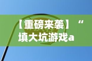 【重磅来袭】“填大坑游戏app开挂方法”通用版下载教程