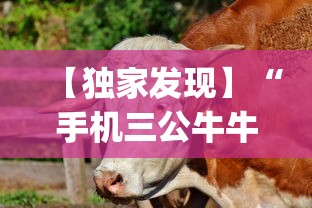 【独家发现】“手机三公牛牛透视软件”(助赢详细开挂教程)