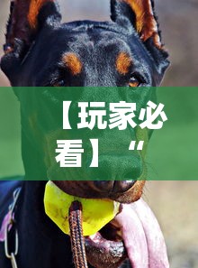【玩家必看】“哈狗麻将开挂”真实开挂技巧分享