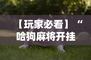 【玩家必看】“哈狗麻将开挂”真实开挂技巧分享