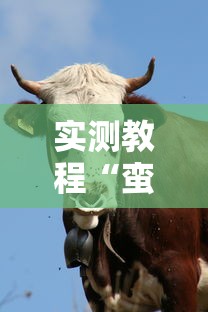 实测教程“蛮王牛牛群有挂吗”实测确实有挂